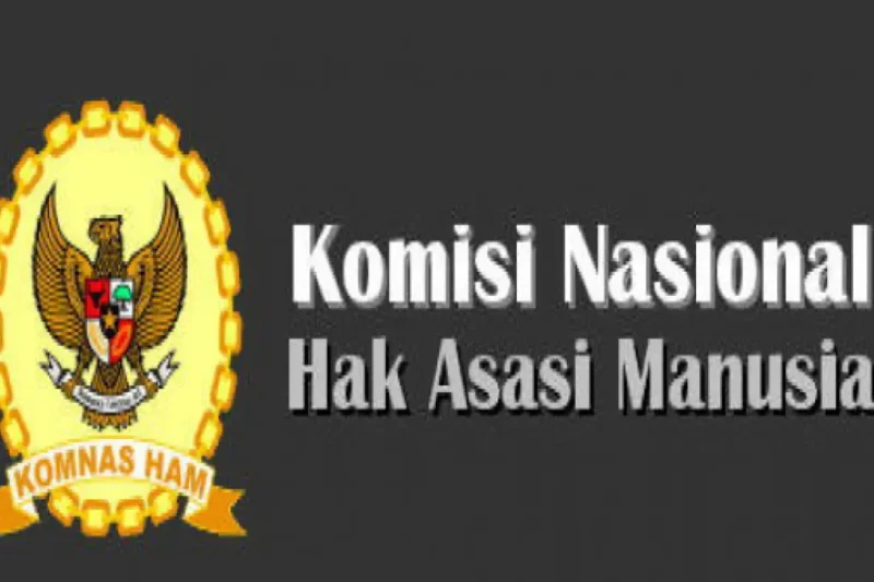 Komnas HAM: Dugaan Kekuatan Berlebih dalam Tragedi Ojol Karlis