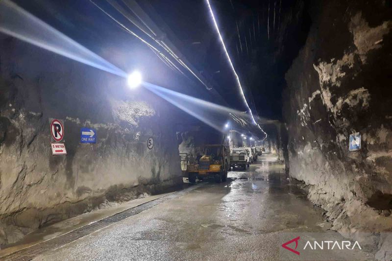 Profil dan Kepemilikan Freeport: Penolakan di Pestapora Mengemuka
