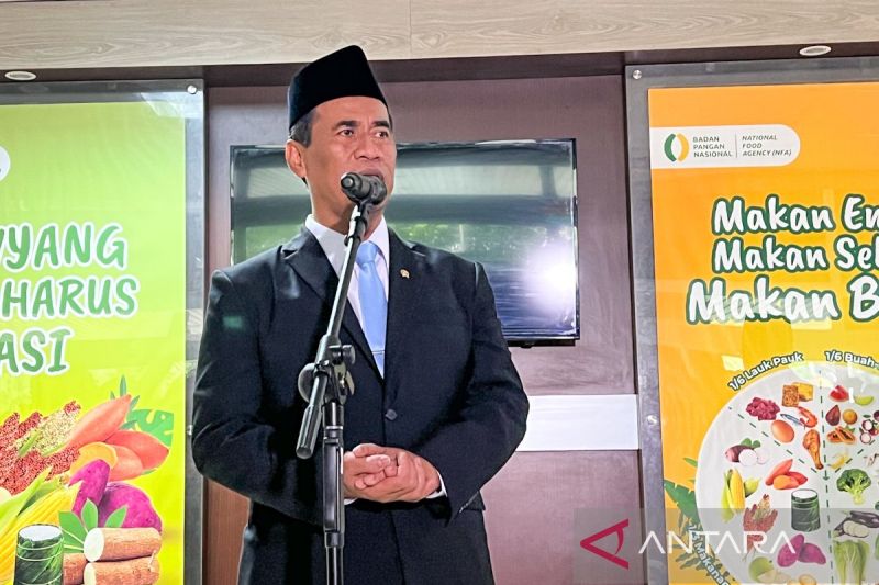 Amran Sulaiman, Kepala Badan Pangan Nasional, miliki harta melimpah