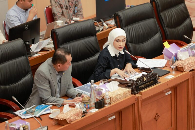 Satu Tahun Prabowo Memimpin, Fraksi PAN: Warga Rasakan Negara
